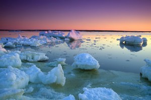 iStock_000002435766Small